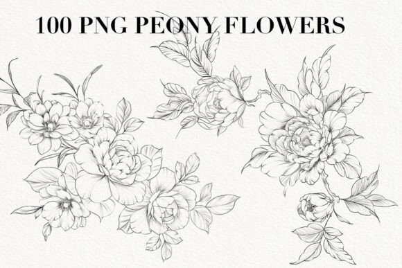 100 Hand-drawn Flower Leaf PNG: A Versatile Design Resource for Creatives
