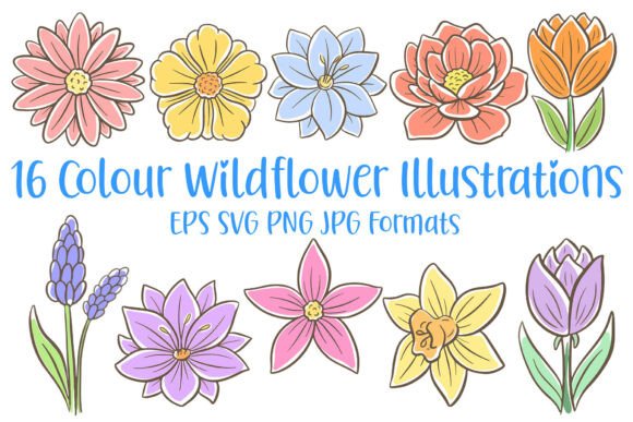 16 Wildflower Flower Illustration Floral: A Designer’s Guide to Vibrant, Hand-Drawn Graphics