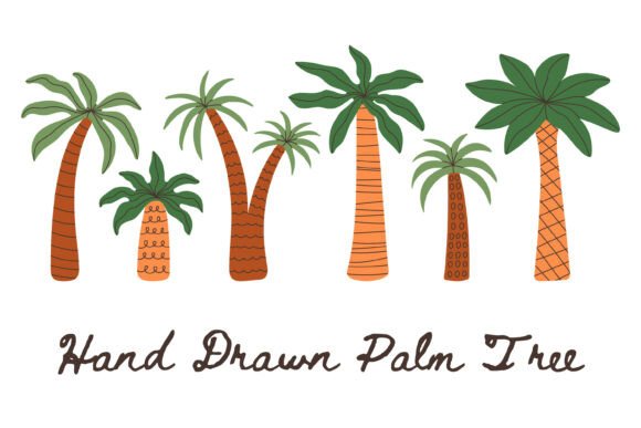 Hand Drawn Palm Tree PNG Clipart for Creative Projects