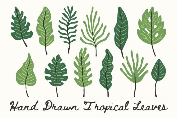 Strategic Use of Hand Drawn Tropical Leaves PNG Clipart for Creative and Business Projects